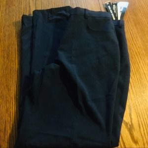 NWT BRIGGS NEW YORK PANTS SIZE 12 B31